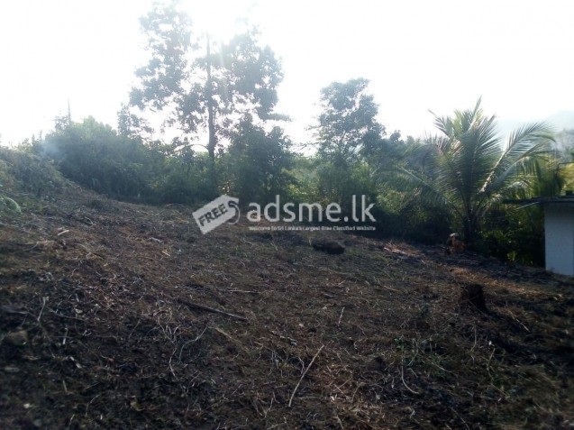 10 perches Residential bare land for sale