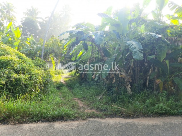 ඉඩමක් විකිණීමට - සේනපුර