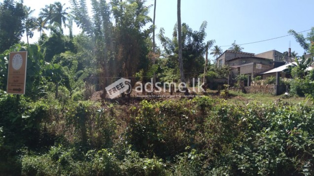land for sale