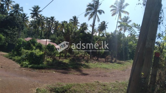 land for sale