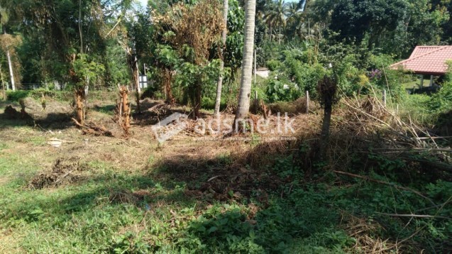 land for sale