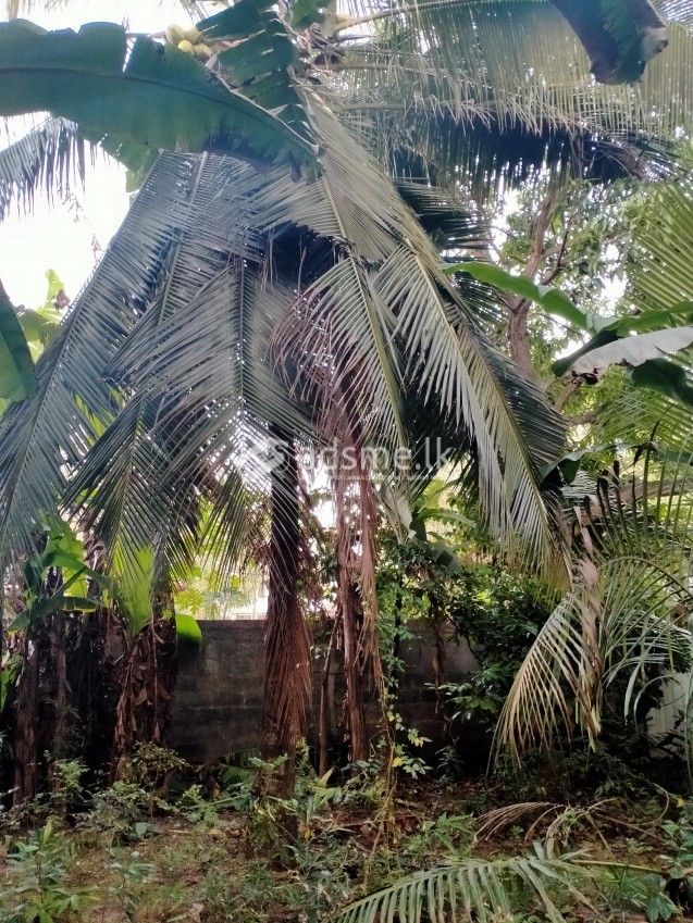 Land for sale in Halpe Mawatha, Kandana