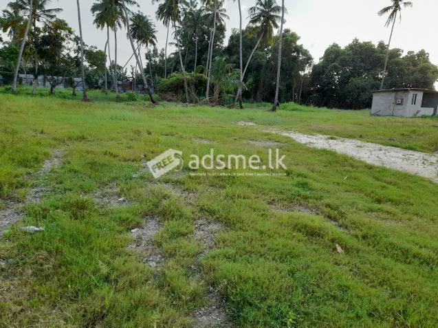 COMMERCIAL LAND FOR LONG TERM LEASE AT KATUNAYAKE