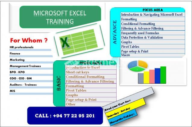 Microsoft Excel Training for Data Analysis