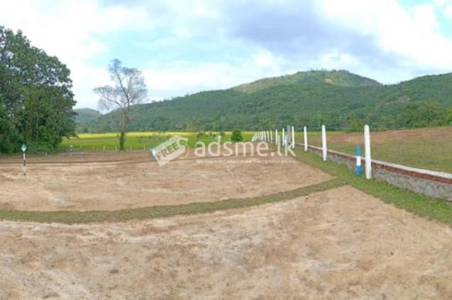 Land for sale in Warakagoda