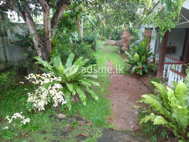 Land for sale In Ragama