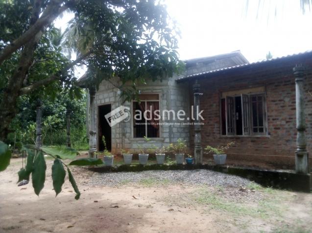 Kurunegala house for sale