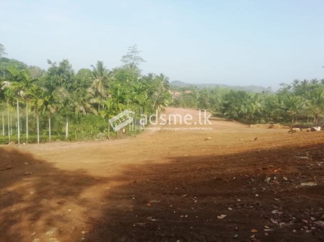 Land For Sale In Bope