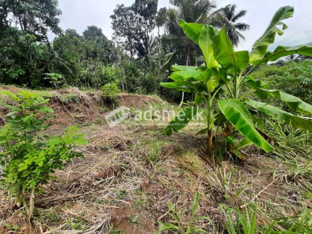 Land for Sale in Kandy