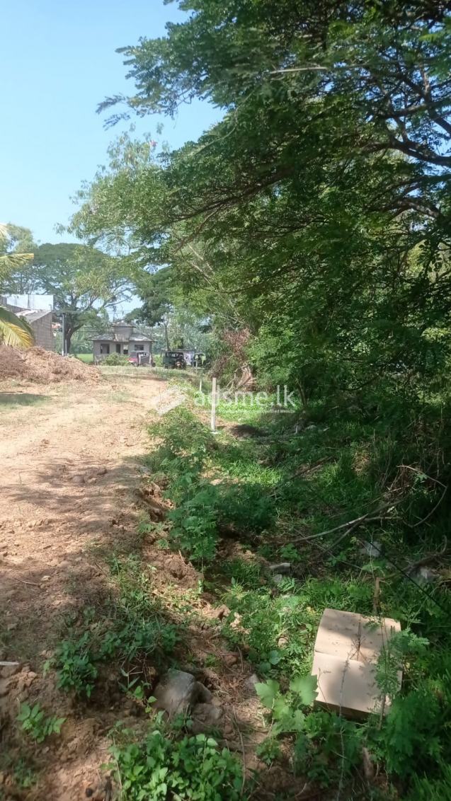 Commercial Land for sale in Ambalantota