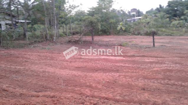 Lands for Sale in Kahathuduwa