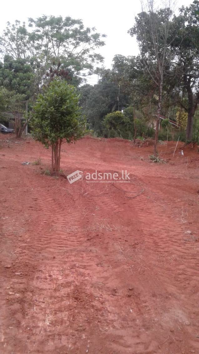 Lands for Sale in Kahathuduwa