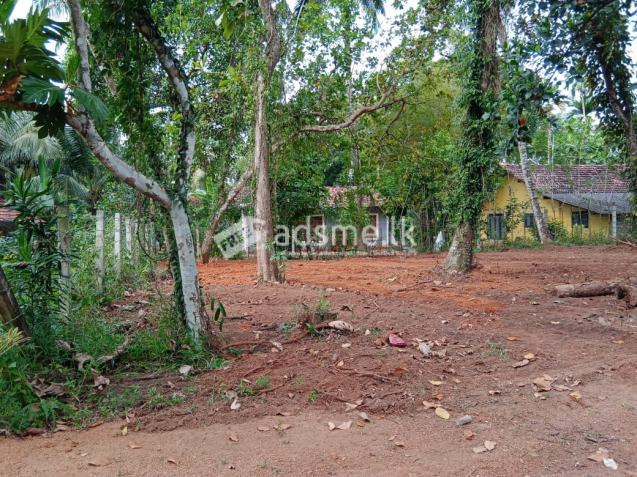 Land for Sale ( near high way entrance)