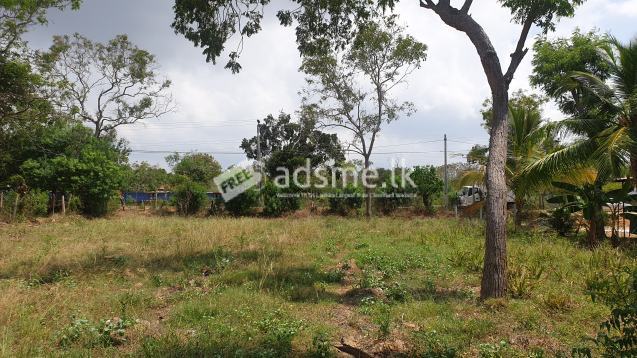 Land for Sale Near to Yala/Kirinda