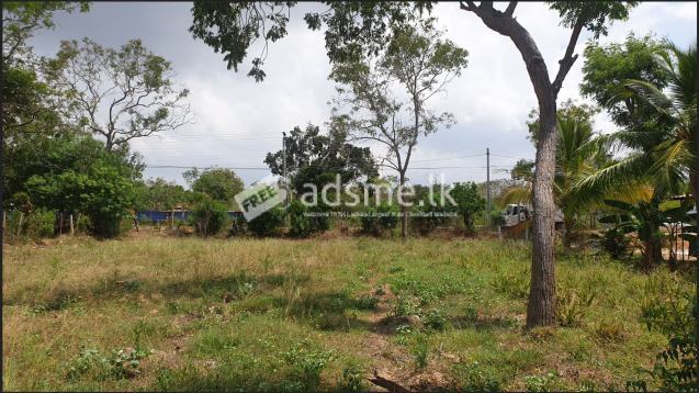 Land for Sale Near to Yala/Kirinda