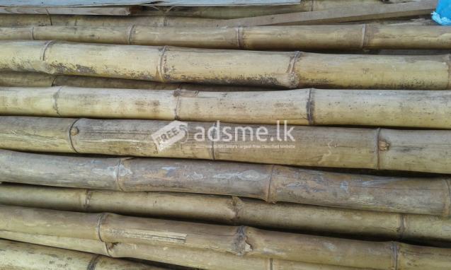 වර්ග අඩි 279 සැටලිමක් විකිනීමට