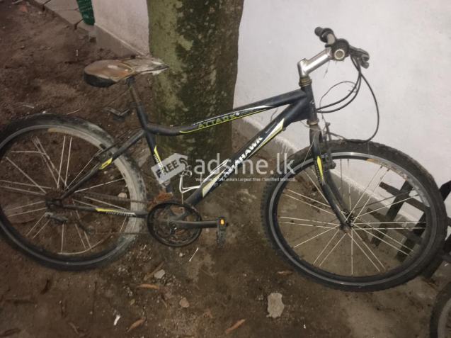 2 Bicycle