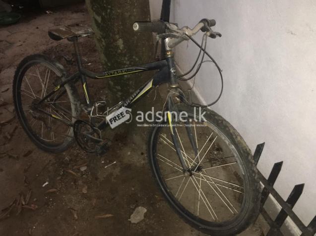 2 Bicycle