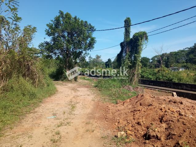 5 Acres Land for Immediate sale
