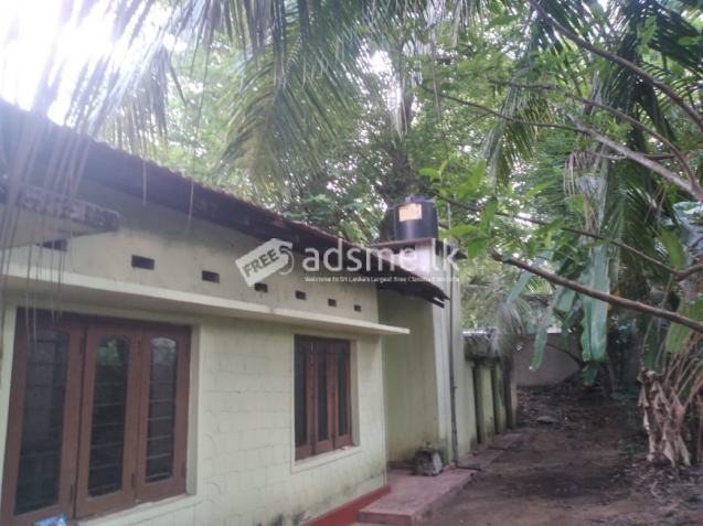 සම්පූර්ණ ,පසුකම් වලින් සපිරි නිවසක් , කුලී පදනමට