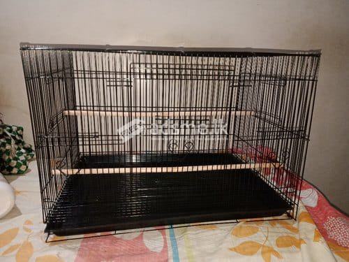 Bird Cage