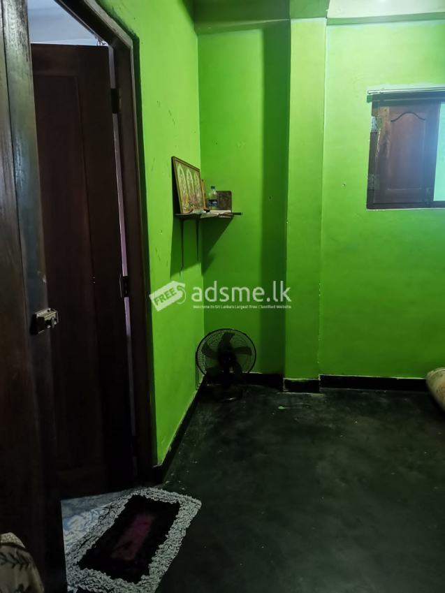 Single room for Girl