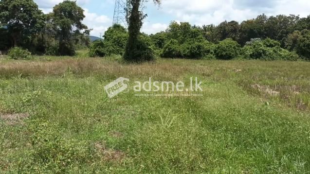 LAND FOR SALE