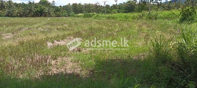 LAND FOR SALE
