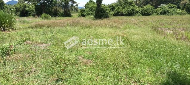 LAND FOR SALE