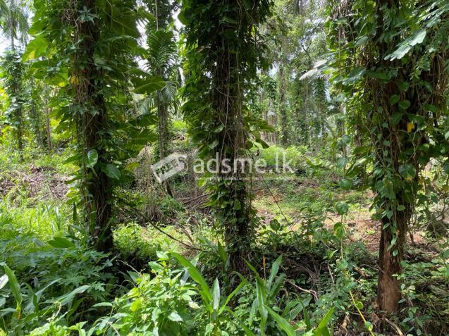 Land sale