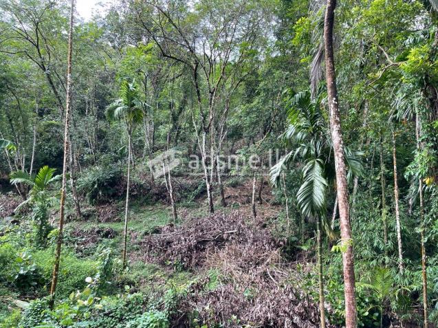 Land sale