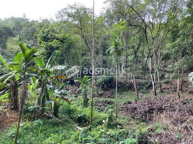 Land sale