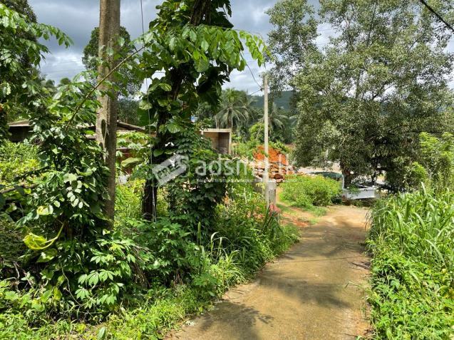 Land sale