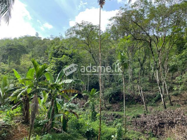 Land sale