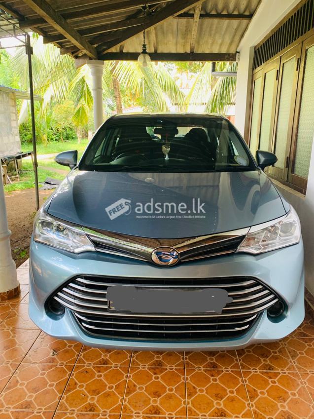 Rent a Cars