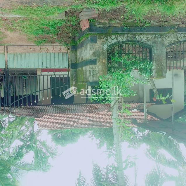 House for rent
