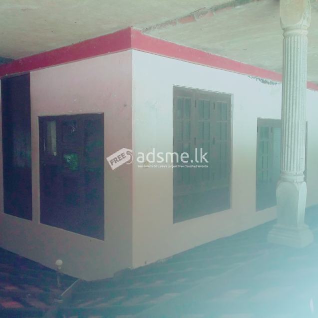 House for rent