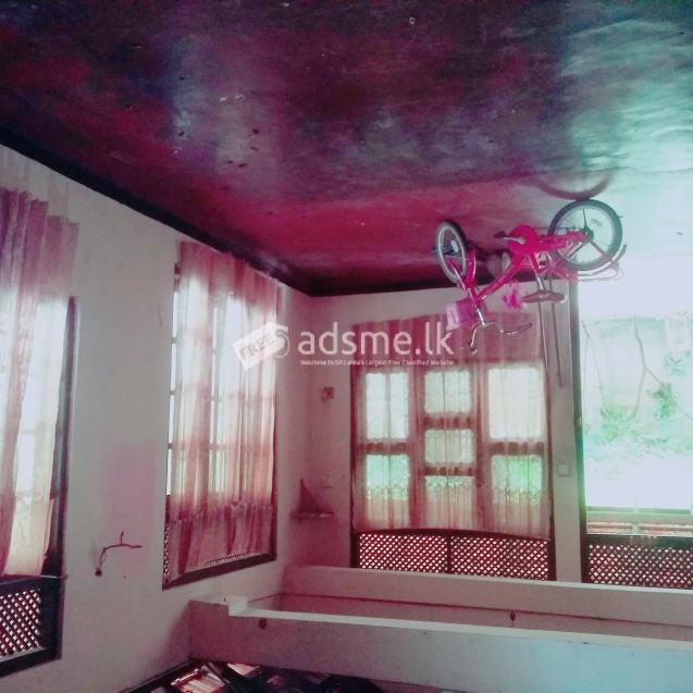 House for rent