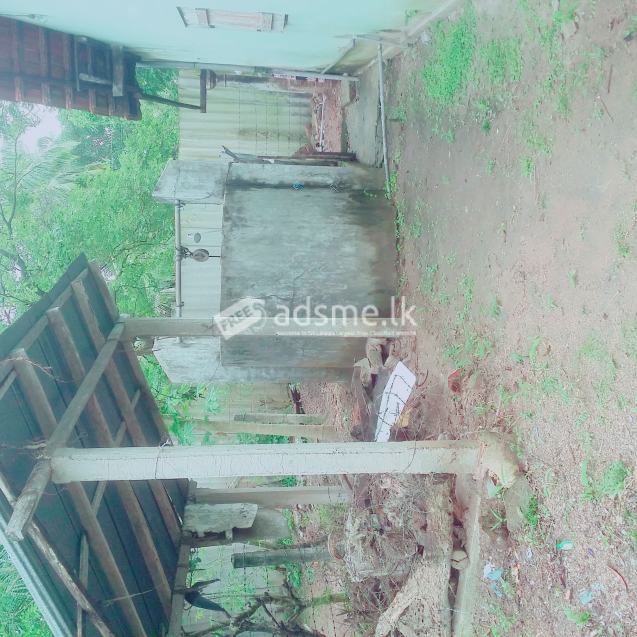 House for rent