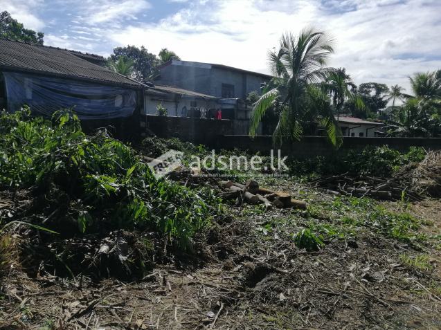 LAND FOR SALE IN THALAWATHUGODA HOKANDARA
