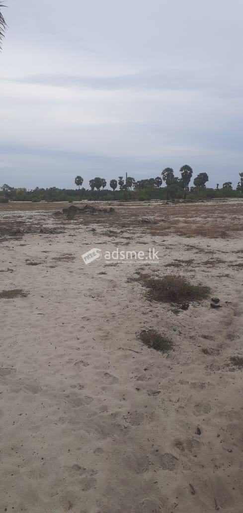 Land for sale in Valachenai (Batticaloa)