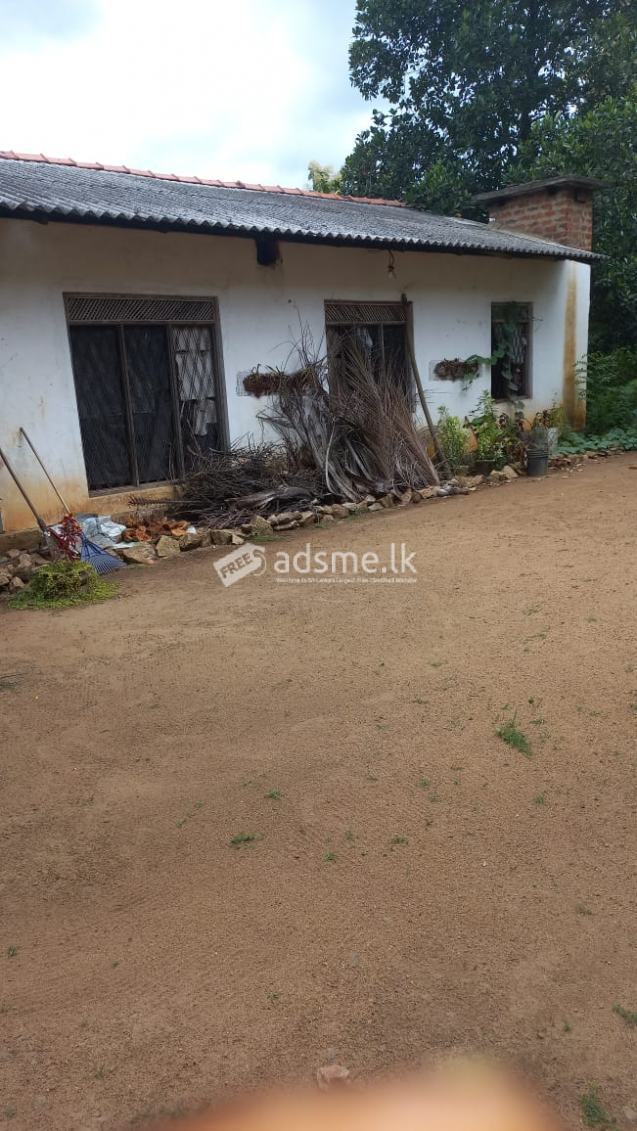 Land for sale