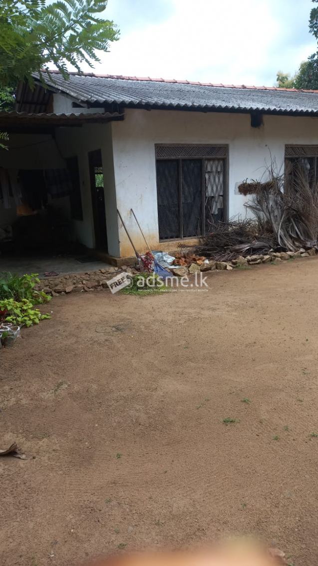 Land for sale
