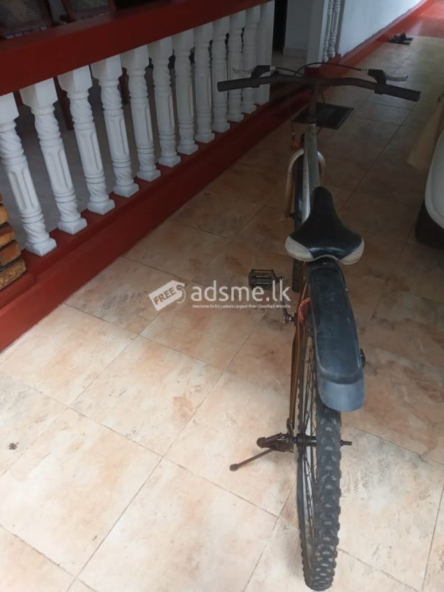 Lumala Bicycle For Sale