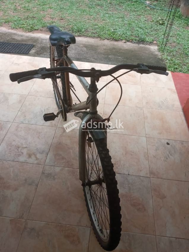 Lumala Bicycle For Sale