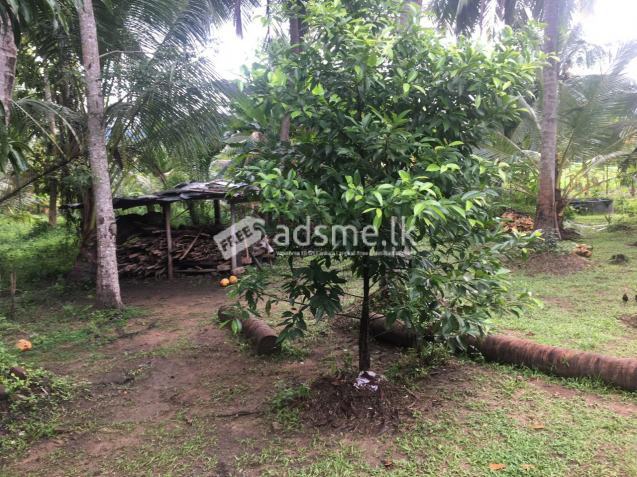 104.5 perche house for sale