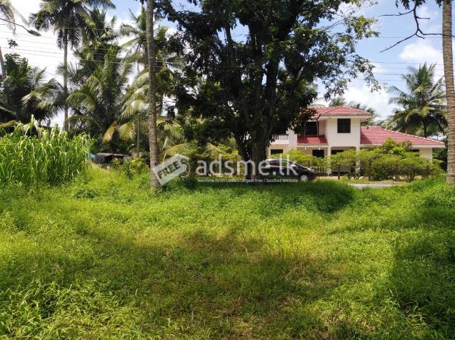 Land for sale in Kuliyapitiya