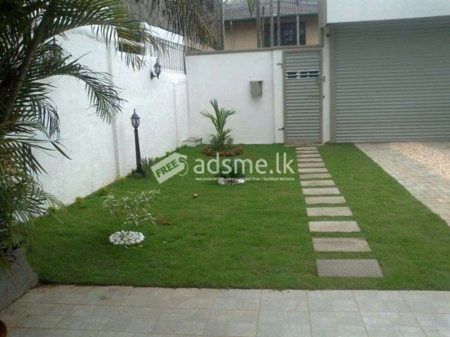 Landscaping services Athurugiriya