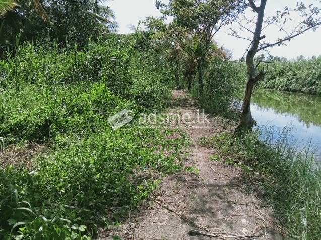 Land for sale in Seeduwa