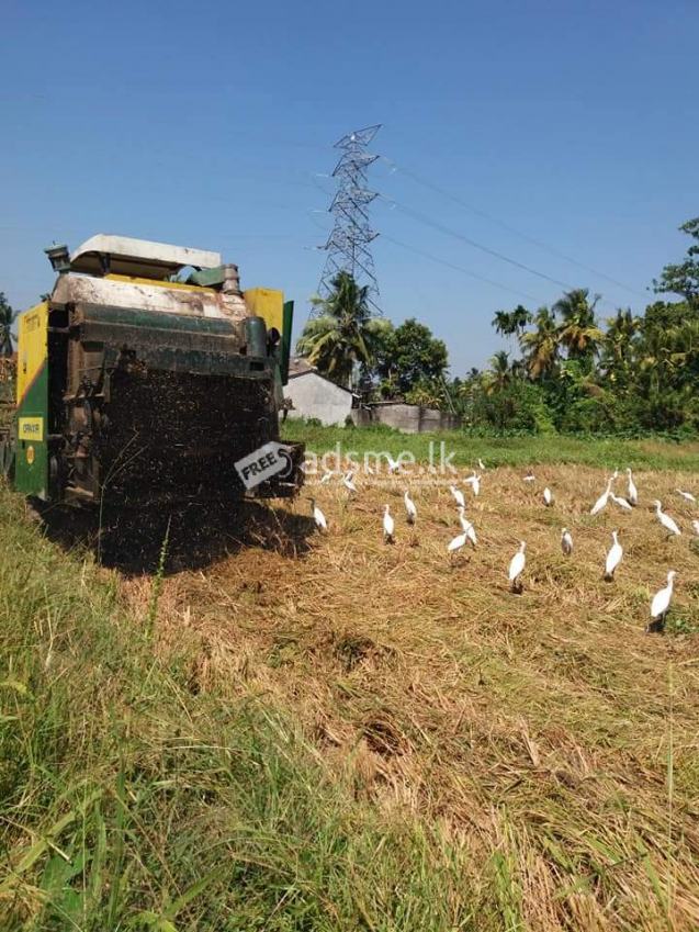 55perch harvesting paddy field for sale in pannipitiya